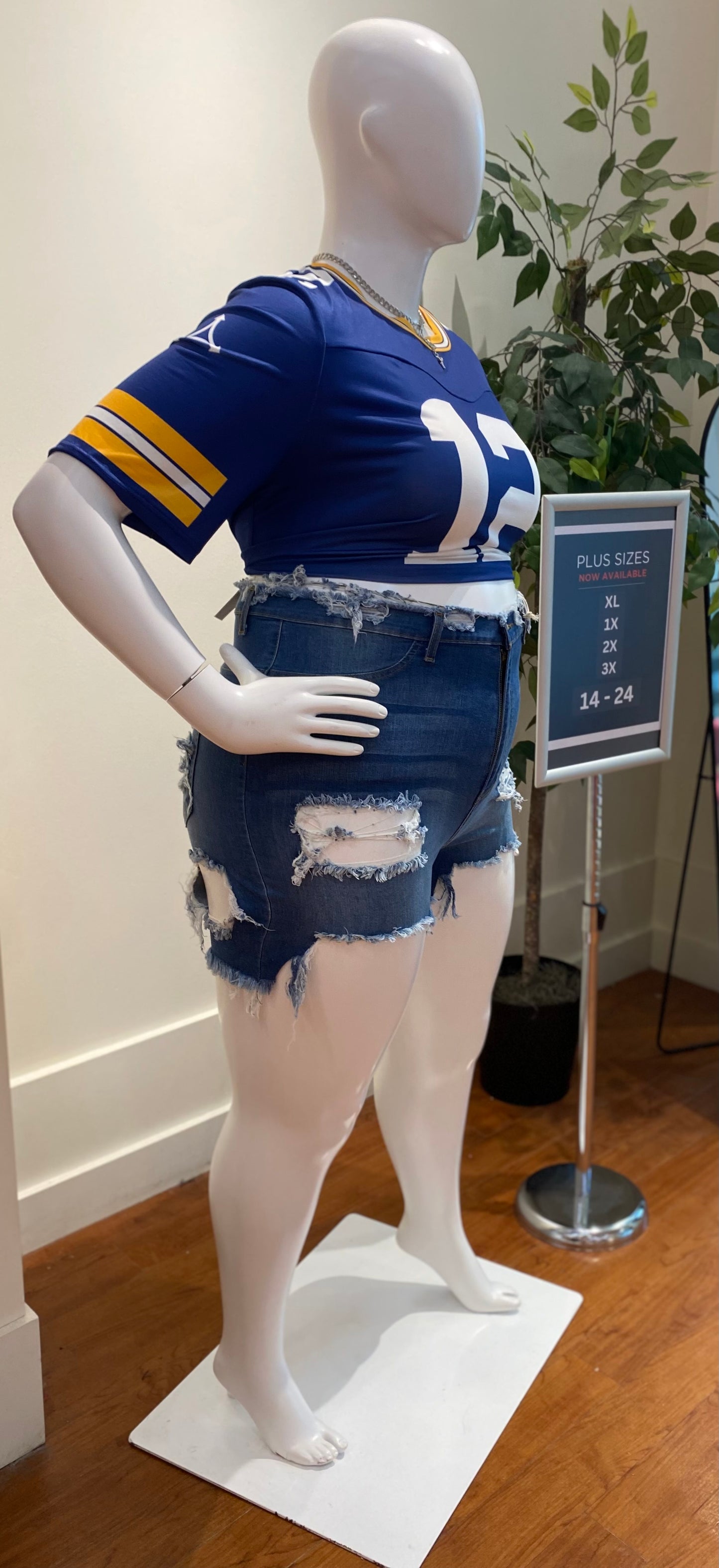 Classic Blue Shorts